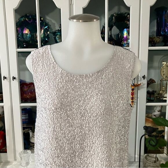 Draper’s & Damon’s Sleeveless Shell Silver and Blue Sz PS - Picture 3 of 8